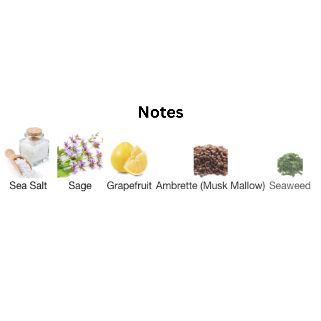 SALTY SAGE